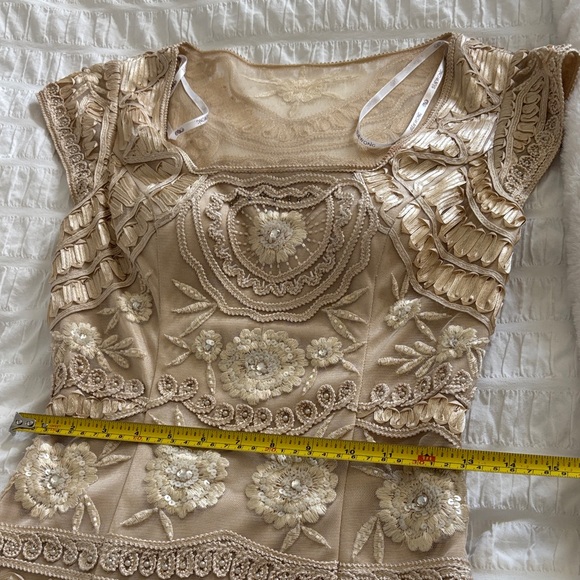 Sue Wong Beige Lace Mini Dress - Picture 9 of 11